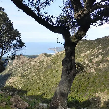 Charming 1-bed In Sardinia *